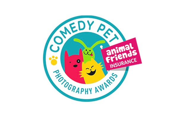 جایزه عکس حیوانات کمدی